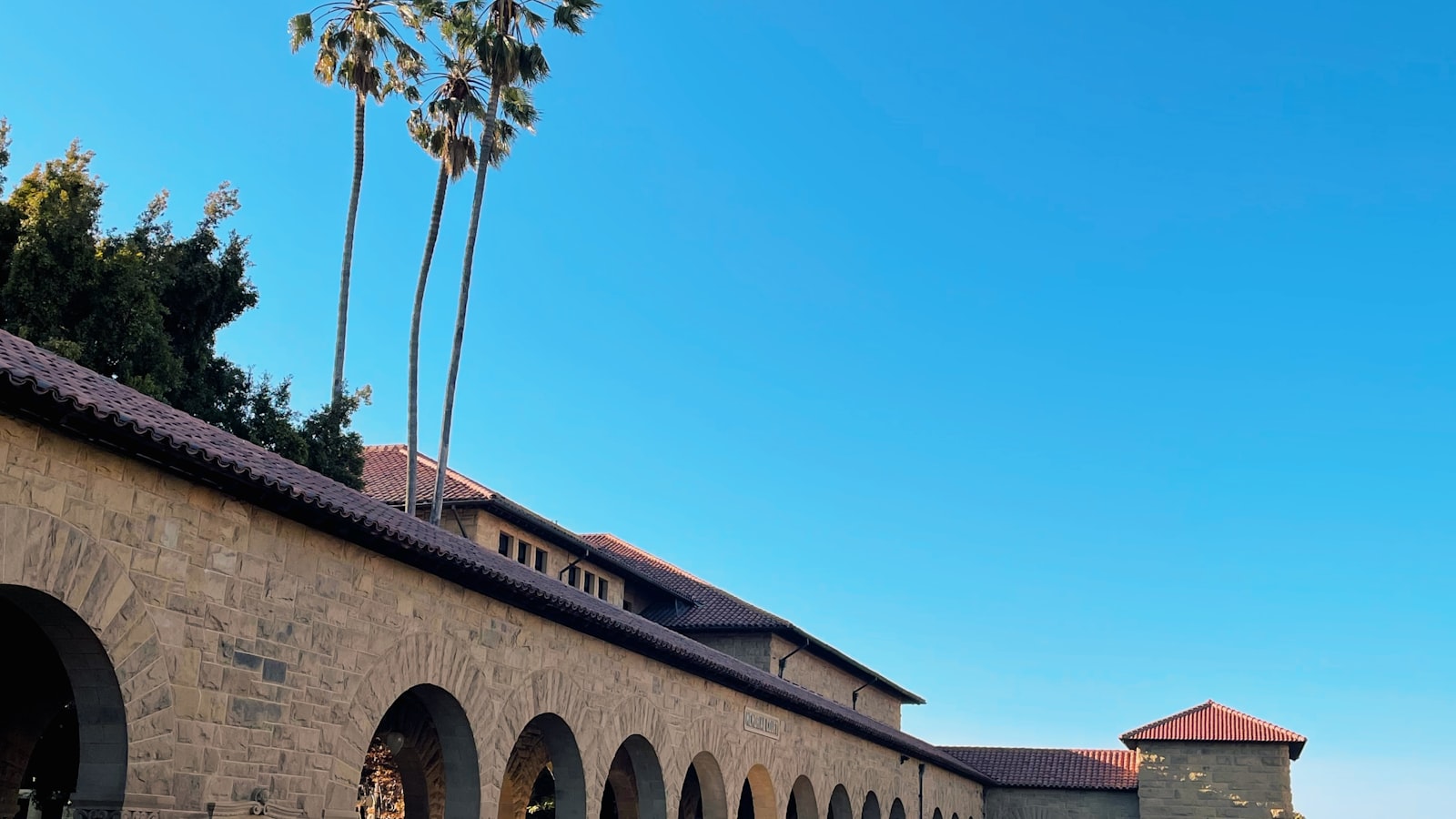 Palm trees standing over a sandstone campus arcade in afternoon light